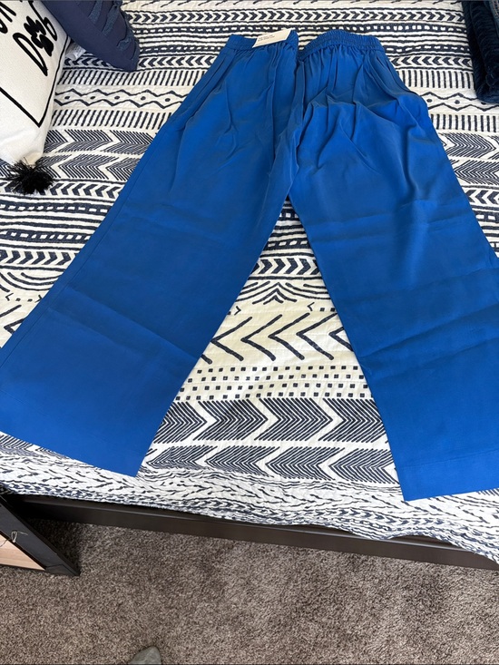 Ann Taylor Factory Pants - Bright Royal Blue Wide Leg Pants